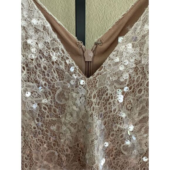 Dress the Population Sequin Knitted Embroidered Floral Lace Dress in Beige Size - Picture 5 of 11